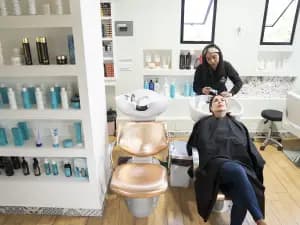 Imagen de galería